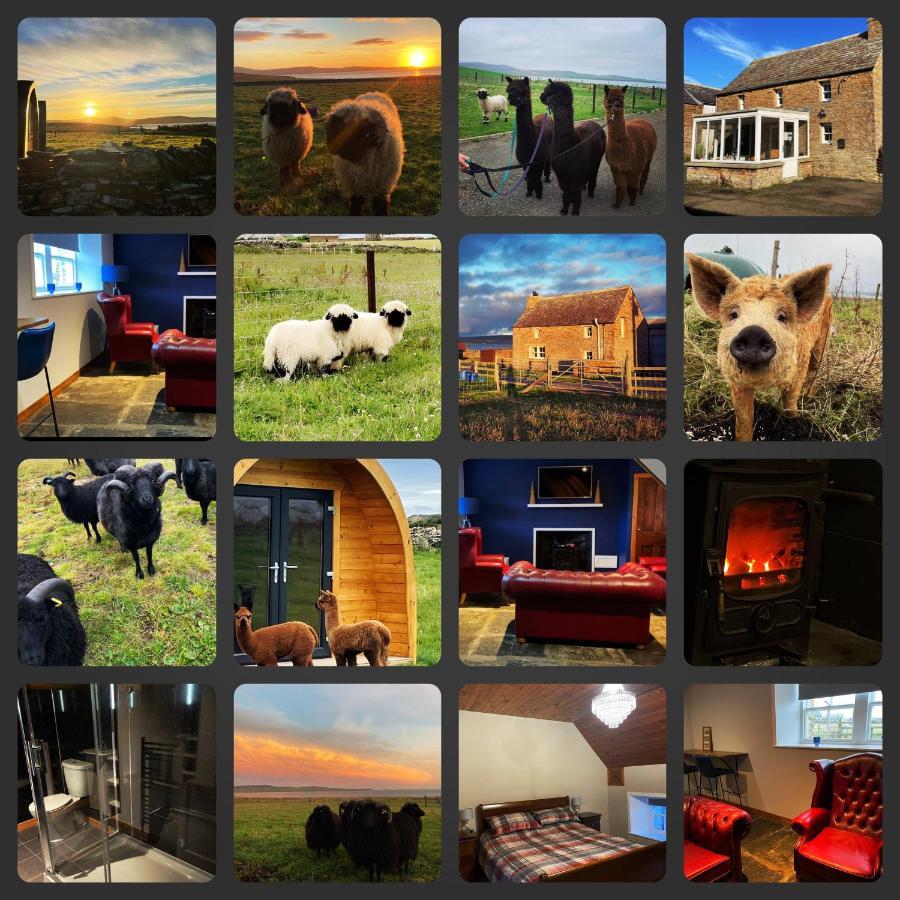 Orkney Farm Bothy Villa Stromness Buitenkant foto